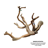 Pack Nano Comienzo PRO