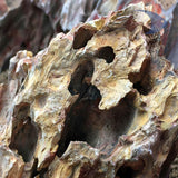 Rocas decorativas naturales Dragón