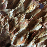 Rocas decorativas naturales Dragón