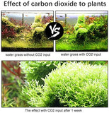 Sistema Generador De Co2 Kit