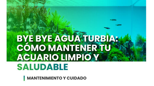 Bye bye agua turbia - Cómo mantener un acuario limpio y saludable