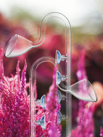 Lily Pipes
