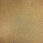 Micron Para Alevines
