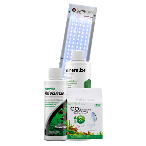 Pack Salto al verde