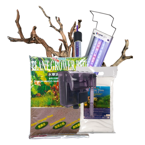 Pack Imagen Revolucionaria