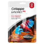 Hojas de Catappa