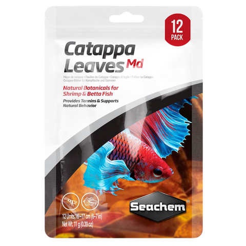 Hojas de Catappa