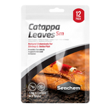 Hojas de Catappa