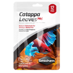 Hojas de Catappa