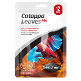 Hojas de Catappa