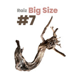 Raíz Manzanita Acuarios Grande #7