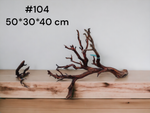 RAÍZ MANZANITA ACUARIOS Med #104