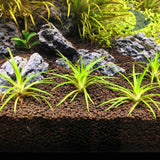 Plant Grower Bed 5.4 kg