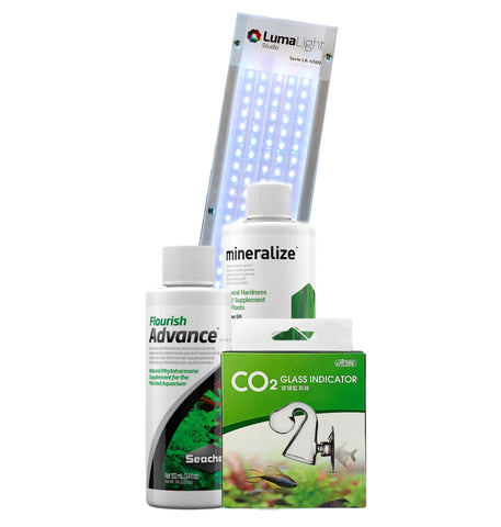 Pack Salto al verde