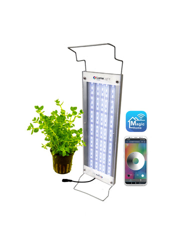 Paquete Nano (30-45 cm)