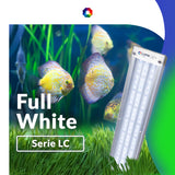 Lámpara LED Serie LC Full White